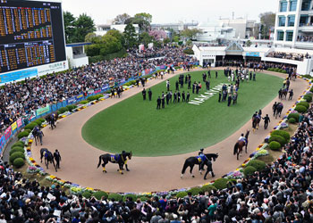 競馬の写真 (3)