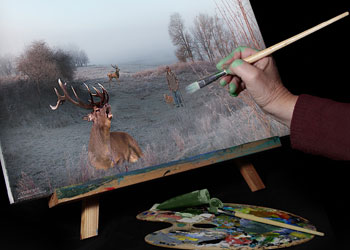 絵画の写真 (2)