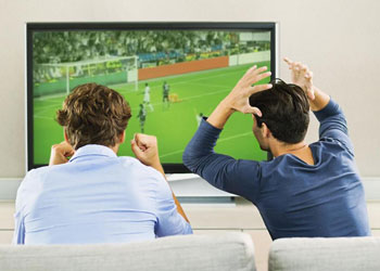 スポーツ観戦